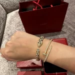 传承之美：揭秘黄金手链的神秘魅力，为何它始终是时尚宠儿？